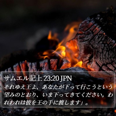 サムエル記上 23:20 JPN Bible Verse Image