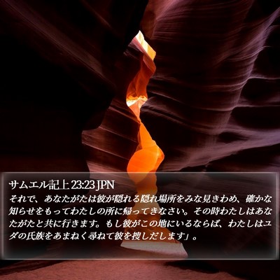 サムエル記上 23:23 JPN Bible Verse Image