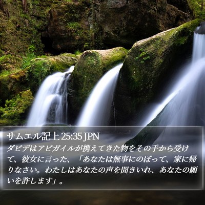 サムエル記上 25:35 JPN Bible Verse Image