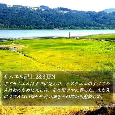 サムエル記上 28:3 JPN Bible Verse Image