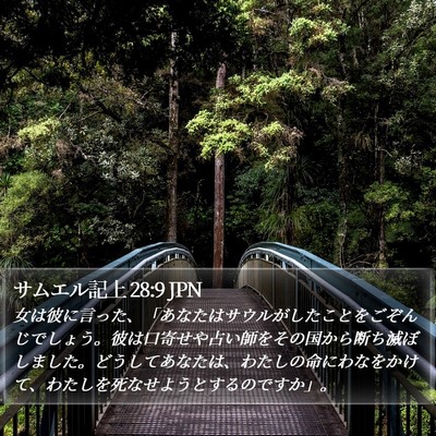 サムエル記上 28:9 JPN Bible Verse Image