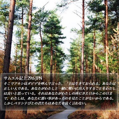 サムエル記上 29:6 JPN Bible Verse Image