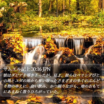 サムエル記上 30:16 JPN Bible Verse Image