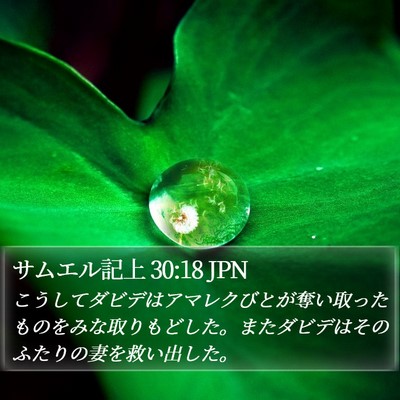 サムエル記上 30:18 JPN Bible Verse Image