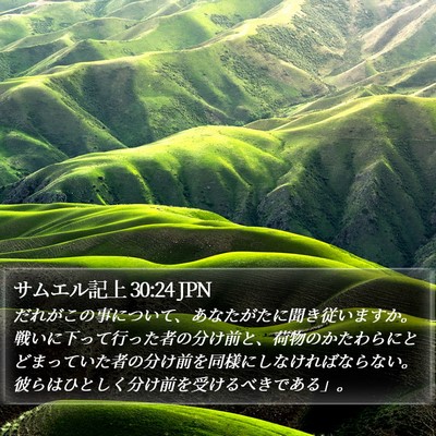 サムエル記上 30:24 JPN Bible Verse Image
