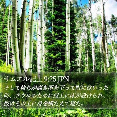 サムエル記上 9:25 JPN Bible Verse Image