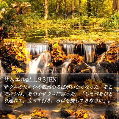 サムエル記上 9:3 JPN Bible Verse Image