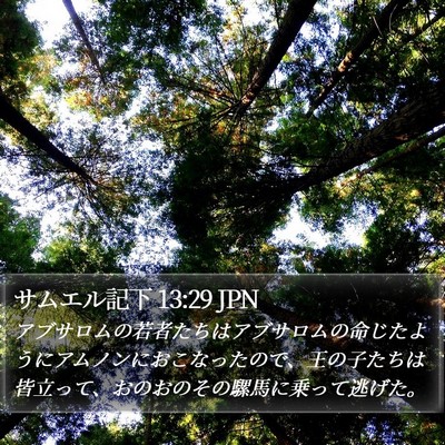 サムエル記下 13:29 JPN Bible Verse Image