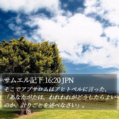 サムエル記下 16:20 JPN Bible Verse Image