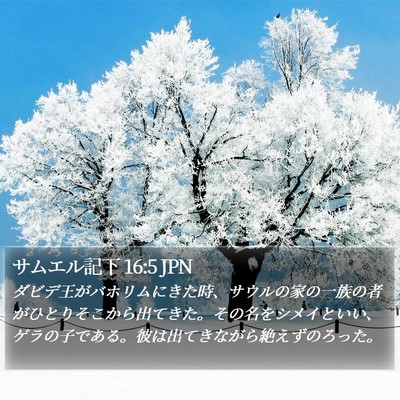 サムエル記下 16:5 JPN Bible Verse Image