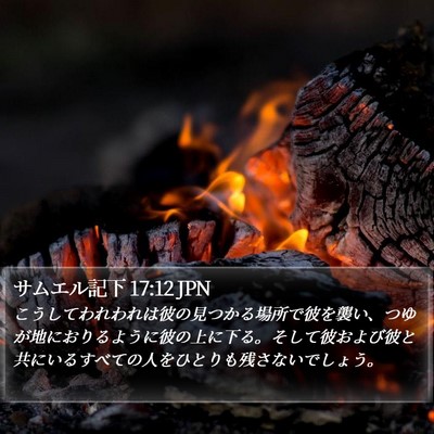 サムエル記下 17:12 JPN Bible Verse Image