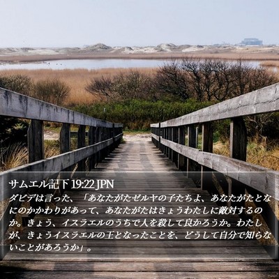 サムエル記下 19:22 JPN Bible Verse Image