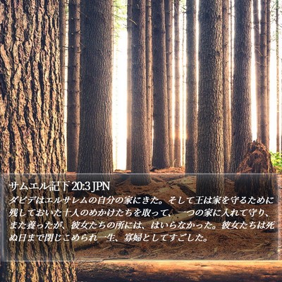 サムエル記下 20:3 JPN Bible Verse Image