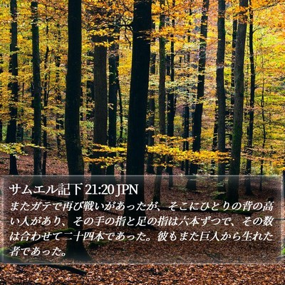 サムエル記下 21:20 JPN Bible Verse Image