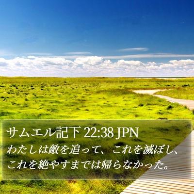 サムエル記下 22:38 JPN Bible Verse Image