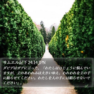 サムエル記下 24:14 JPN Bible Verse Image