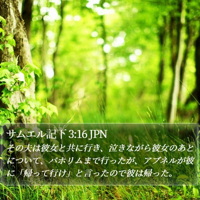 サムエル記下 3:16 JPN Bible Verse Image