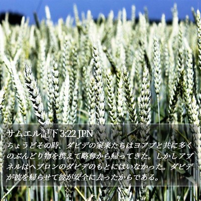 サムエル記下 3:22 JPN Bible Verse Image