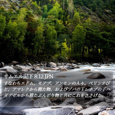 サムエル記下 8:12 JPN Bible Verse Image