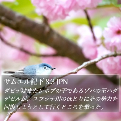 サムエル記下 8:3 JPN Bible Verse Image