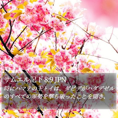 サムエル記下 8:9 JPN Bible Verse Image