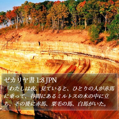 ゼカリヤ書 1:8 JPN Bible Verse Image