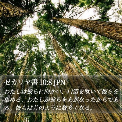 ゼカリヤ書 10:8 JPN Bible Verse Image