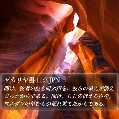 ゼカリヤ書 11:3 JPN Bible Verse Image