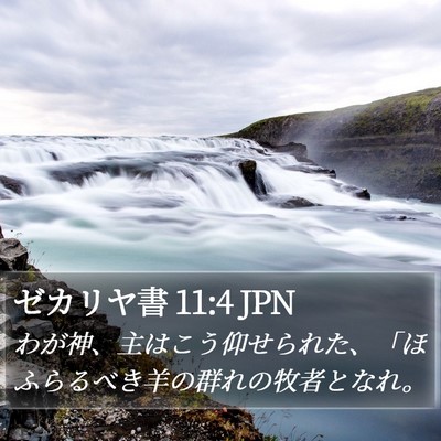 ゼカリヤ書 11:4 JPN Bible Verse Image