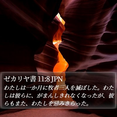 ゼカリヤ書 11:8 JPN Bible Verse Image