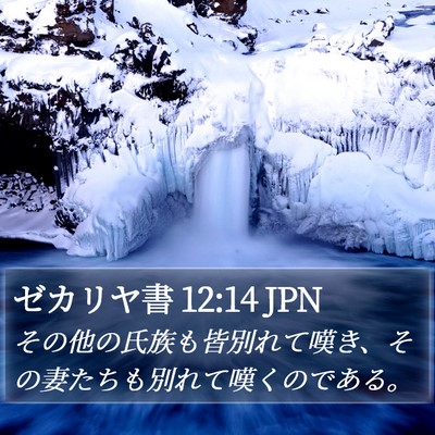 ゼカリヤ書 12:14 JPN Bible Verse Image