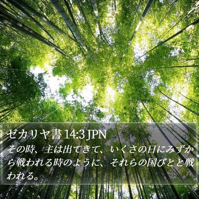 ゼカリヤ書 14:3 JPN Bible Verse Image