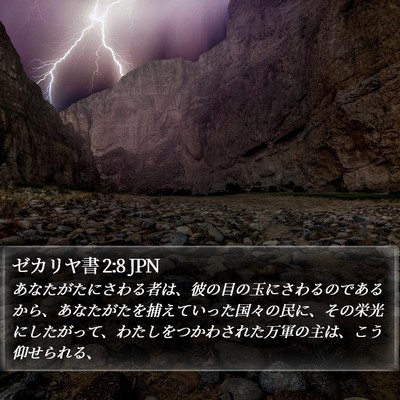 ゼカリヤ書 2:8 JPN Bible Verse Image