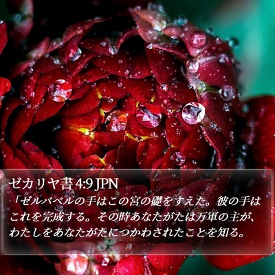 ゼカリヤ書 4:9 JPN Bible Verse Image