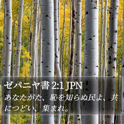 ゼパニヤ書 2:1 JPN Bible Verse Image