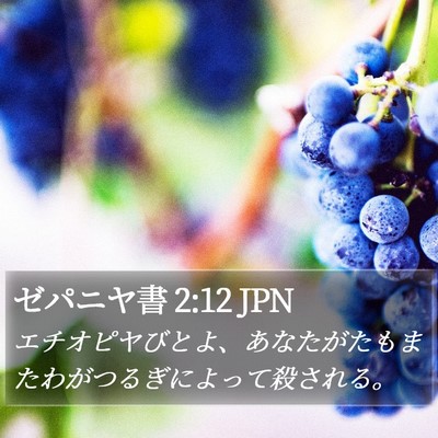 ゼパニヤ書 2:12 JPN Bible Verse Image