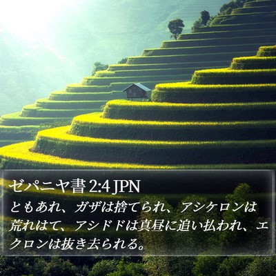ゼパニヤ書 2:4 JPN Bible Verse Image