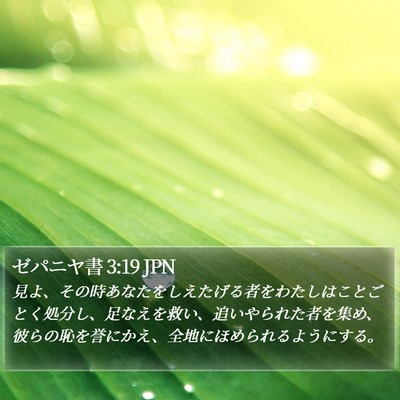 ゼパニヤ書 3:19 JPN Bible Verse Image