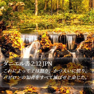 ダニエル書 2:12 JPN Bible Verse Image