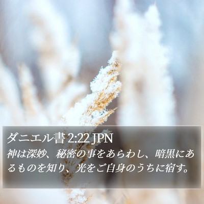 ダニエル書 2:22 JPN Bible Verse Image