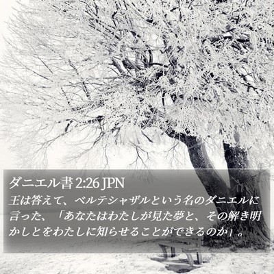 ダニエル書 2:26 JPN Bible Verse Image