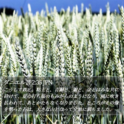ダニエル書 2:35 JPN Bible Verse Image