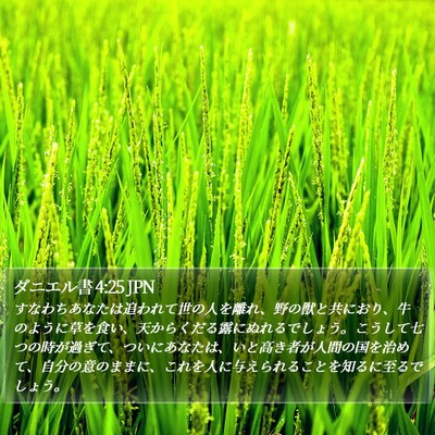ダニエル書 4:25 JPN Bible Verse Image
