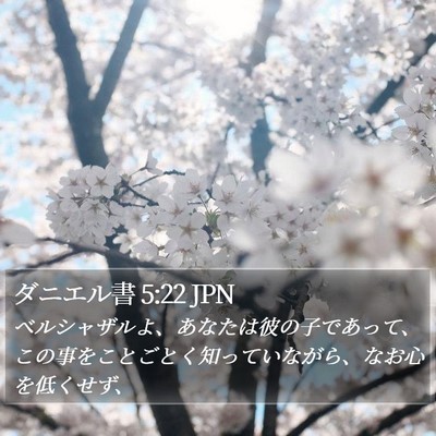 ダニエル書 5:22 JPN Bible Verse Image