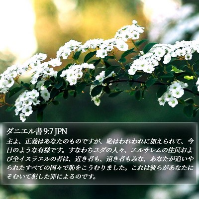 ダニエル書 9:7 JPN Bible Verse Image