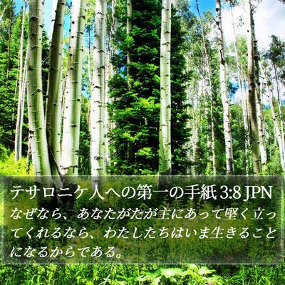 テサロニケ人への第一の手紙 3:8 JPN Bible Verse Image