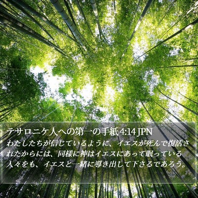 テサロニケ人への第一の手紙 4:14 JPN Bible Verse Image