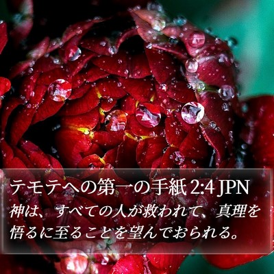 テモテヘの第一の手紙 2:4 JPN Bible Verse Image