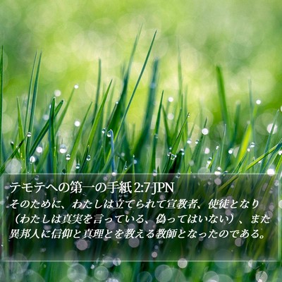 テモテヘの第一の手紙 2:7 JPN Bible Verse Image