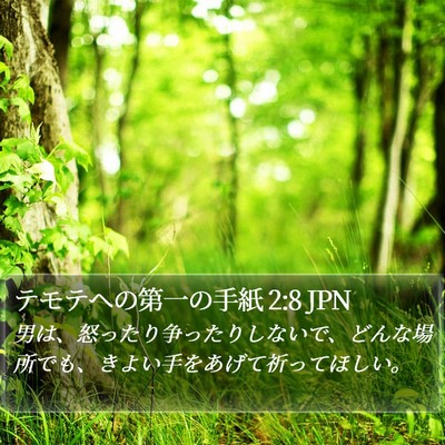 テモテヘの第一の手紙 2:8 JPN Bible Verse Image